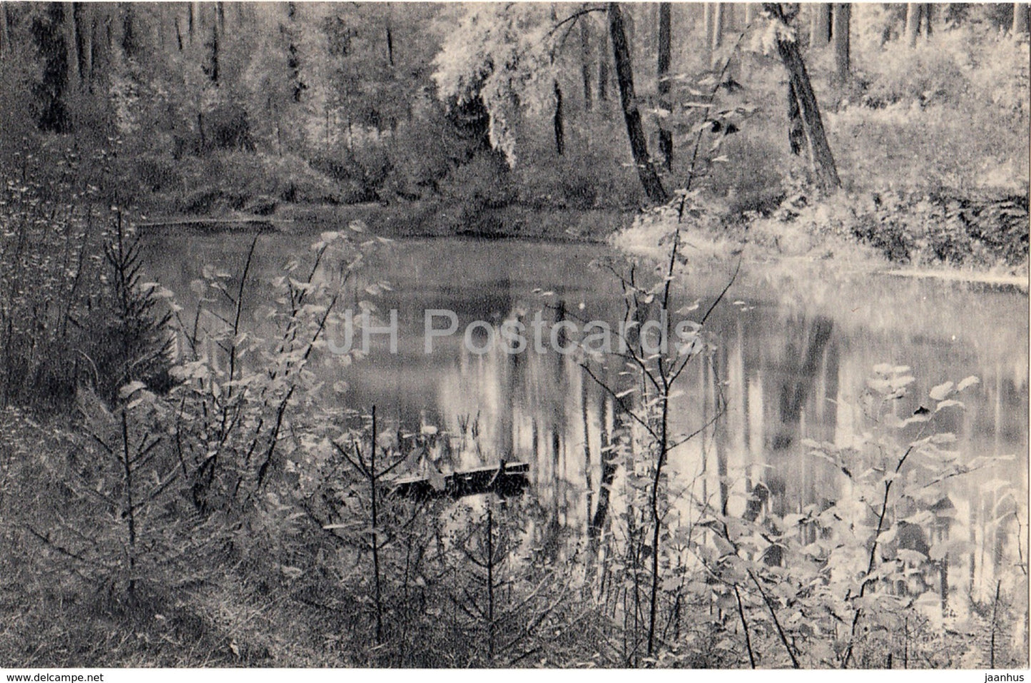 Mikhailovskoye - Old Pond in the Park - Pushkin Nature Reserve - 1968 - Russia USSR - unused - JH Postcards