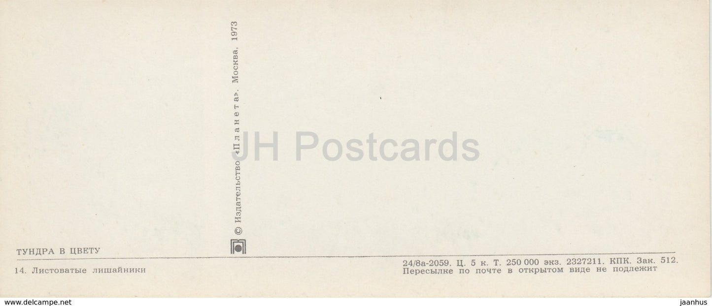 Leafy lichens - plants - Tundra in bloom - 1973 - Russia USSR - unused