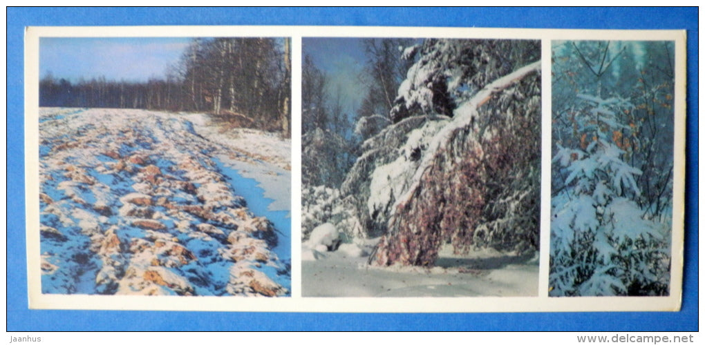 field - winter - Moscow Oblast - Podmoskovye - 1977 - Russia USSR - unused - JH Postcards