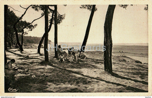 Ronce les Bains - Vue sur le Galon d'Or - old postcard - France - used - JH Postcards