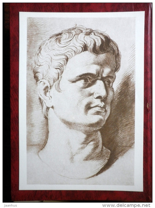 Drawing by Peter Paul Rubens - Head of Brutus , between 1635 and 1638 - maxi card - flemish art - 1977 - unused - JH Postcards