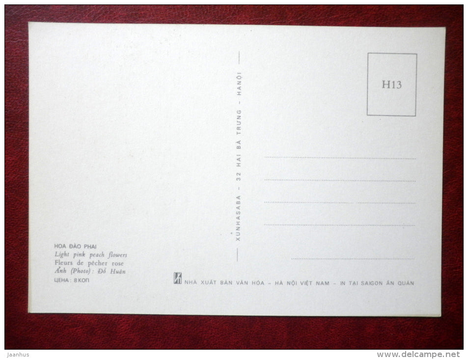 Light pink Peach flowers - flowers - Vietnam - unused - JH Postcards