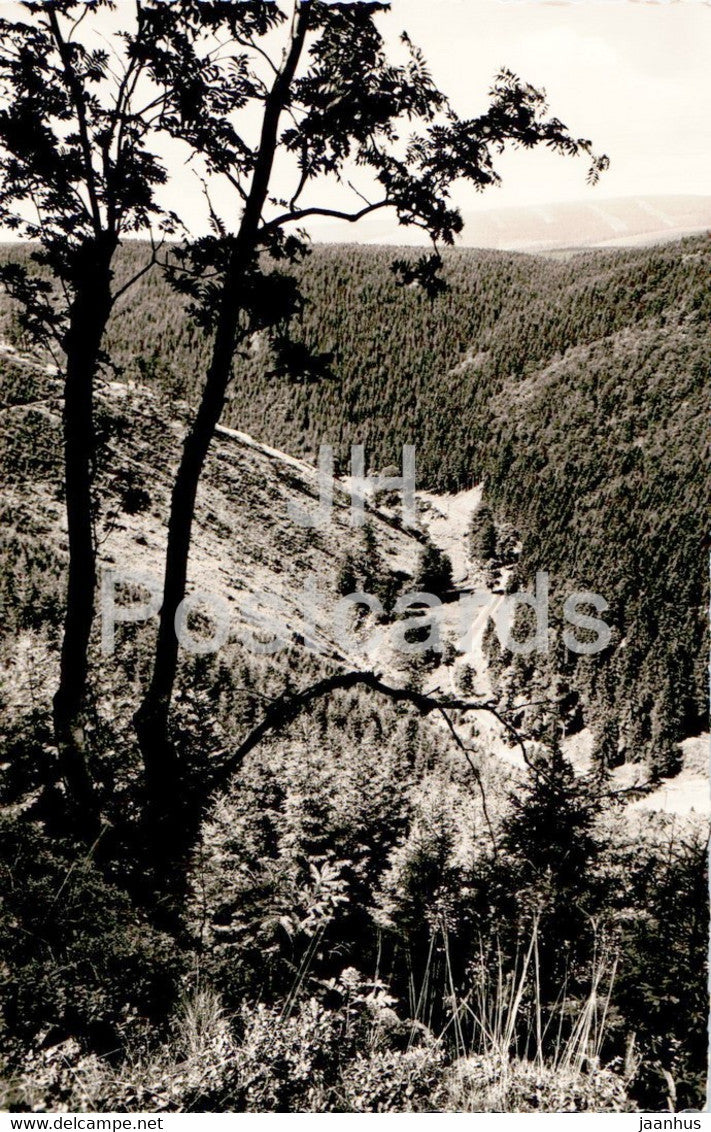 Bergstadt St Andreasberg - Blick vom Eisensteinsberg in das Siebertal - old postcard - Germany - unused - JH Postcards