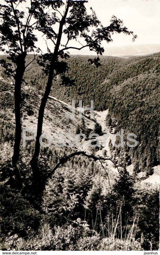 Bergstadt St Andreasberg - Blick vom Eisensteinsberg in das Siebertal - old postcard - Germany - unused - JH Postcards