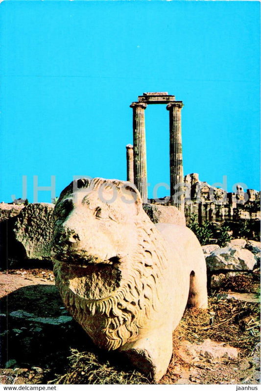 The lion from the ruins of Didyma - animals - ancient world - Turkey - unused - JH Postcards