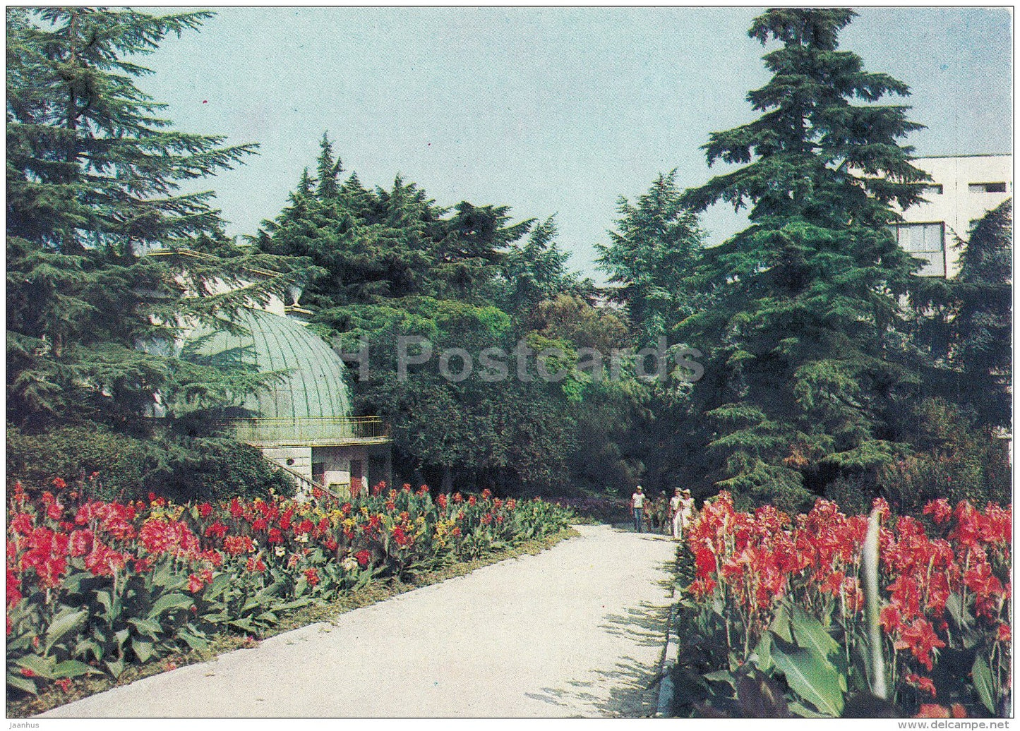 corner of the garden - Nikitsky Botanical Garden - 1991 - Ukraine USSR - unused - JH Postcards