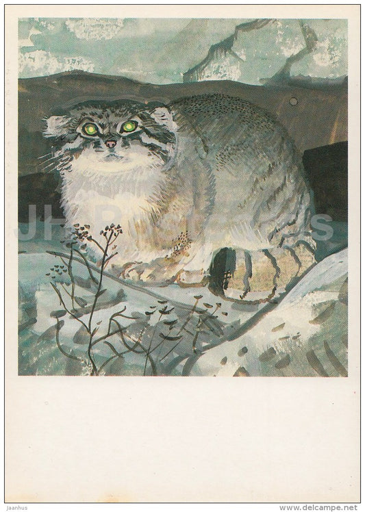 Pallas's cat - Otocolobus manul - Endangered species - illustration by V. Gorbatov - 1990 - Russia USSR - unused - JH Postcards