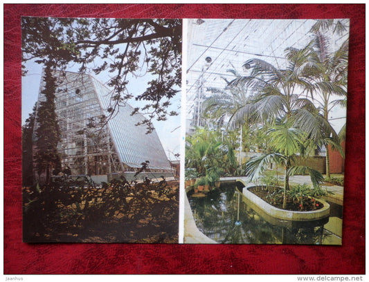 Tartu - the palm house at the Botanical Garden of Tartu State University - 1985 - Estonia - USSR - unused - JH Postcards