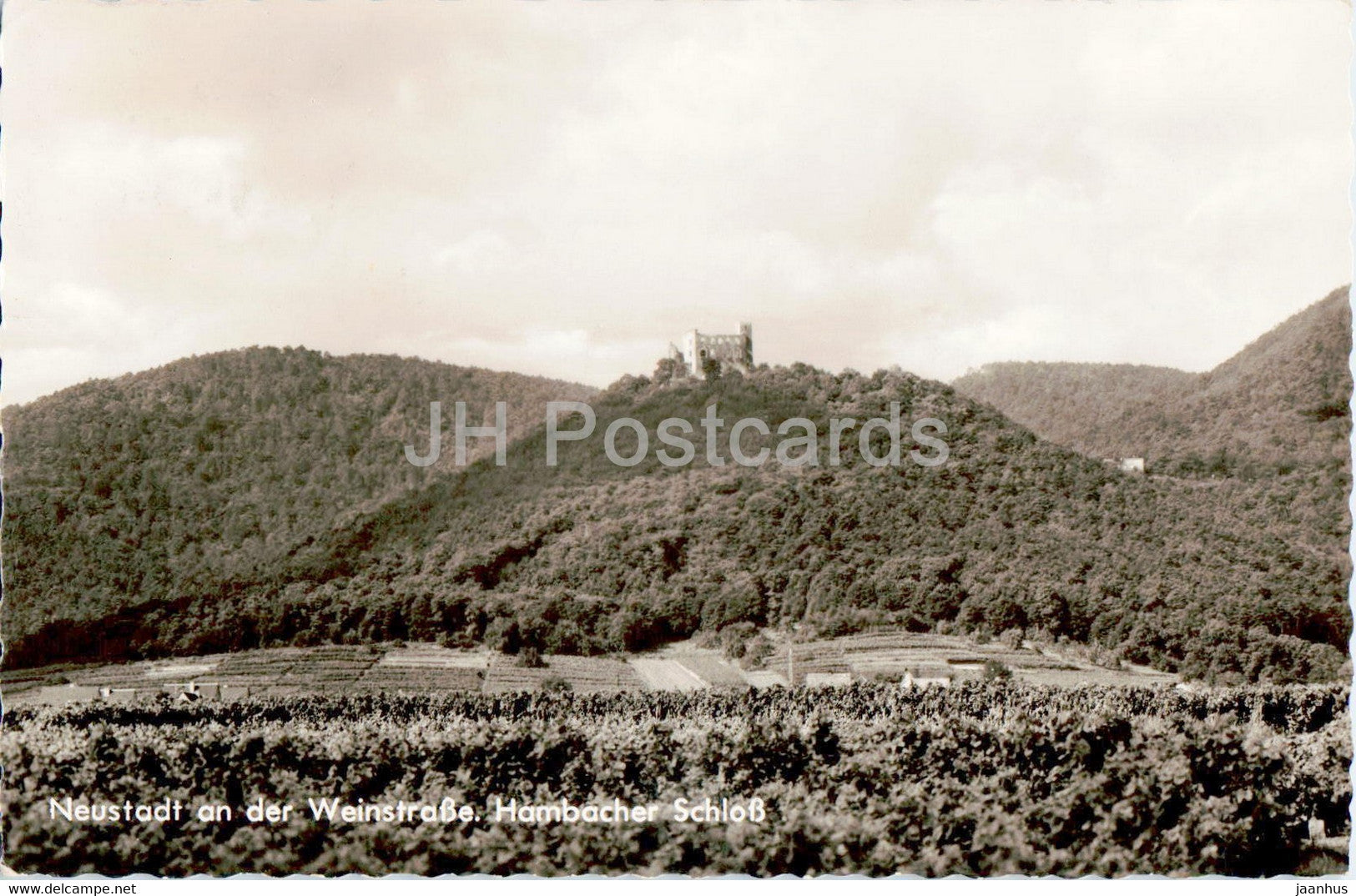Neustadt an der Weinstrasse  - Hambacher Schloss - old postcard - 1964 - Germany - used - JH Postcards
