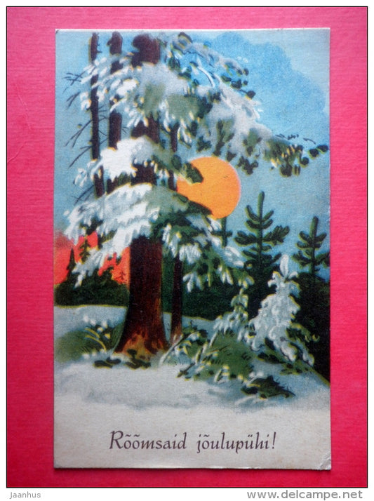 christmas greeting card - winter - forest - sun - circulated in Estonia Vihula 1934 - JH Postcards