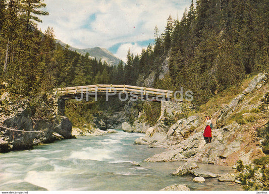 Im Nationalpark bei Punt Periv - Spol - Switzerland - unused - JH Postcards