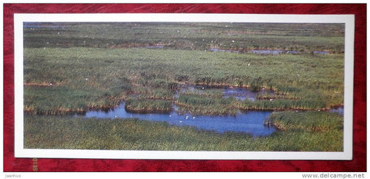 Matsalu National Park - reed - plants - 1983 - Estonia - USSR - unused - JH Postcards