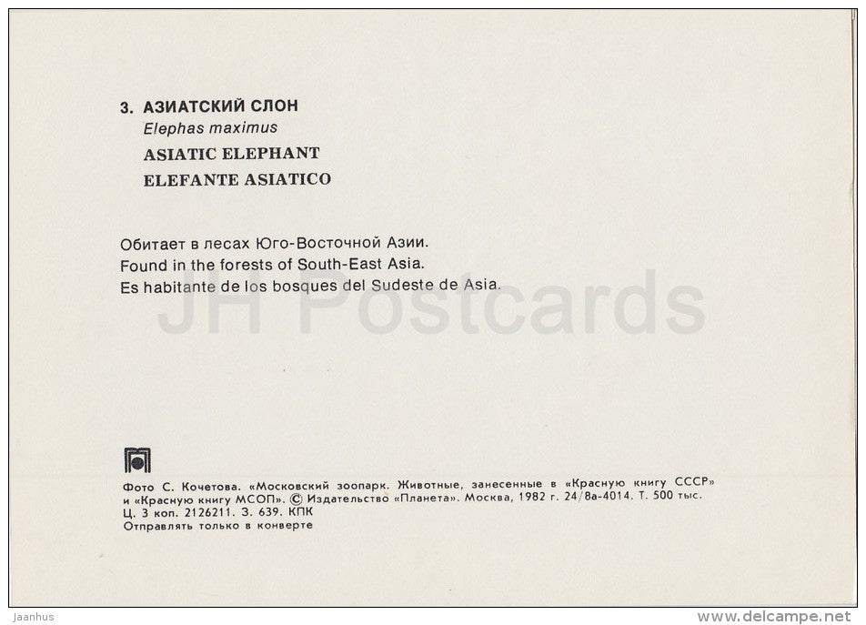 Asian elephant - Elephas maximus - Moscow Zoo - 1982 - Russia USSR - unused - JH Postcards