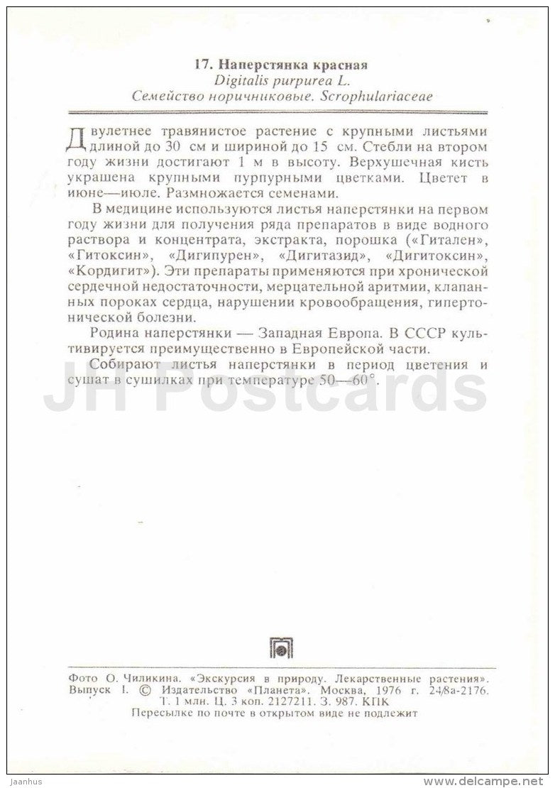 Common foxglove - Digitalis purpurea - medicinal plants - 1976 - Russia USSR - unused - JH Postcards