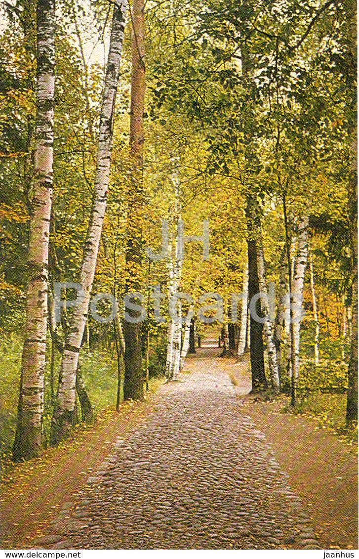Penaty Estate Museum of Russian Artist Ilya Repin - Birch Alley - 1975 - Russia USSR - unused - JH Postcards