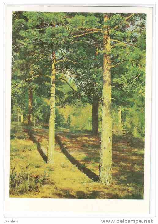 painting by I. I. Shishkin - Pines by Sunlight , 1886 - russian art - unused - JH Postcards