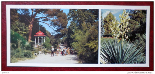 Yukka aloifolia - tree - lower Park - Nikitsky Botanical Garden - 1982 - Ukraine USSR - unused - JH Postcards