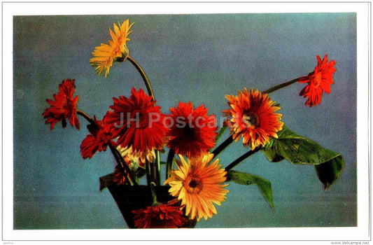 yellow gerbera - flowers - Russia USSR - unused - JH Postcards