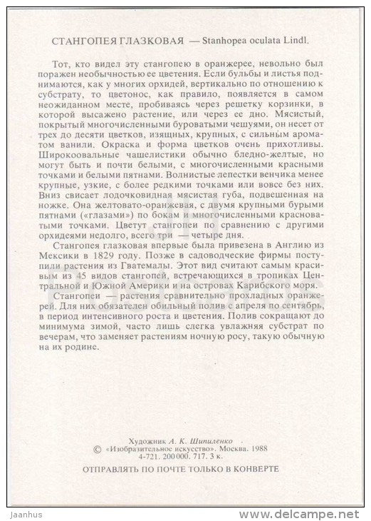 The Eye-Spot Stanhopea - Stanhopea oculata - orchid - wild flowers - 1988 - Russia USSR - unused - JH Postcards