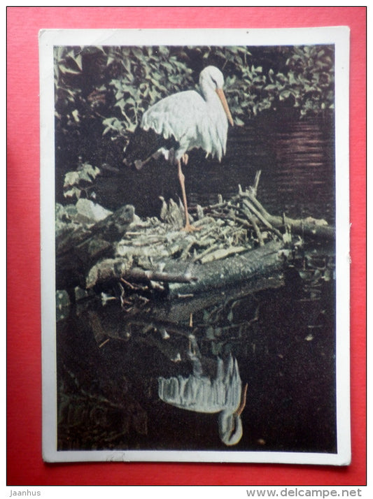 Moscow Zoo - White Stork - stationery card - 1963 - Russia USSR - used - JH Postcards
