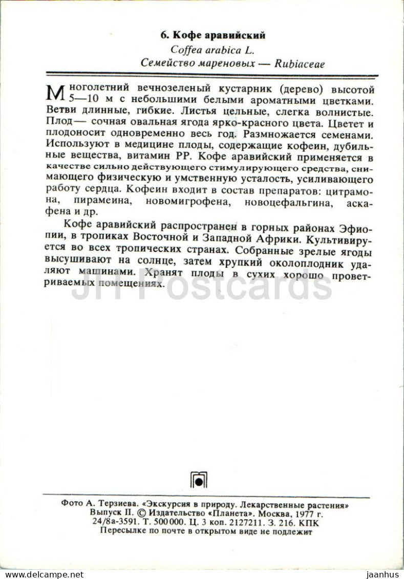 Coffea arabica - Arabic Coffee - Medicinal Plants - 1977 - Russia USSR - unused