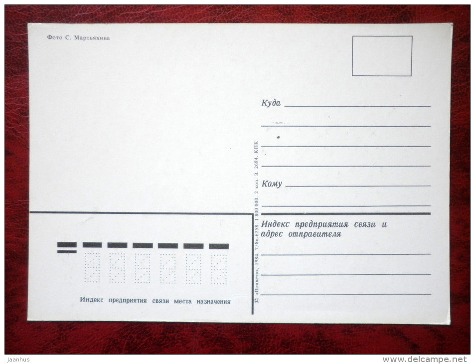 bithday greeting card - flowers - 1984 - Russia - USSR - unused - JH Postcards