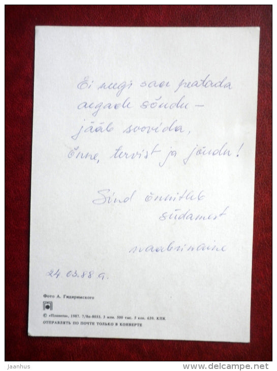 Birthday Greeting Card - white and red roses - flowers - 1987 - Russia USSR - used - JH Postcards