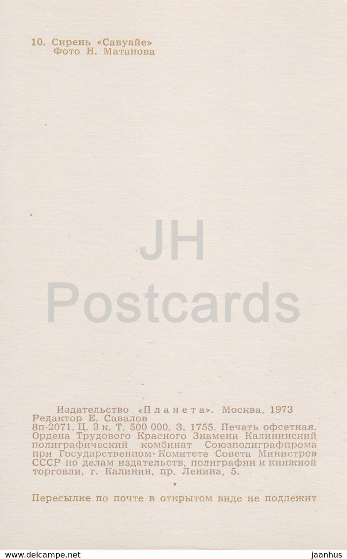 Savoier - Lilac - Flowers - 1973 - Russia USSR - unused