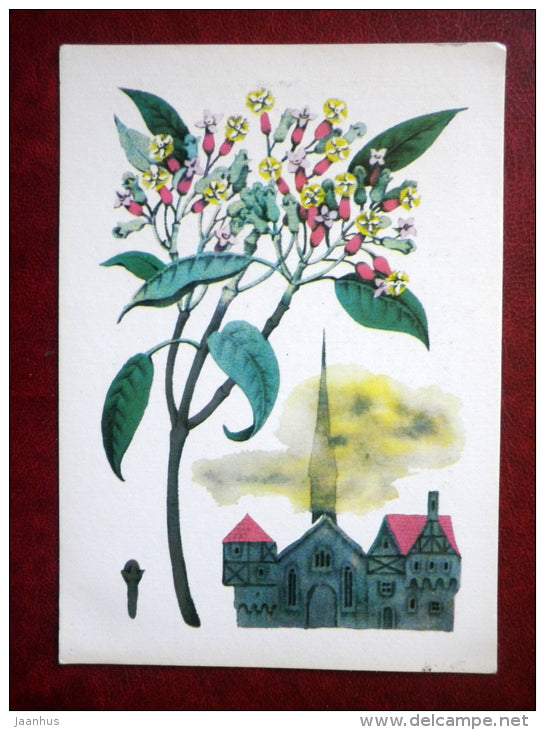 Allspice - by. N. Barbotchenko - plants - 1986 - Russia USSR - unused - JH Postcards
