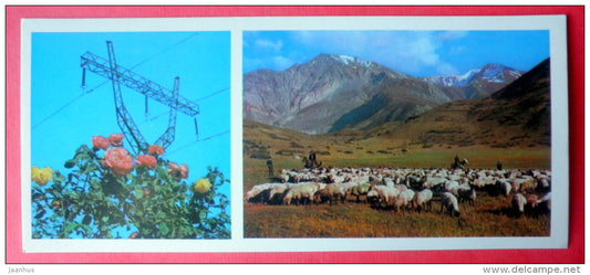 on a mountain pasture - sheep - 1974 - Tajikistan USSR - unused - JH Postcards