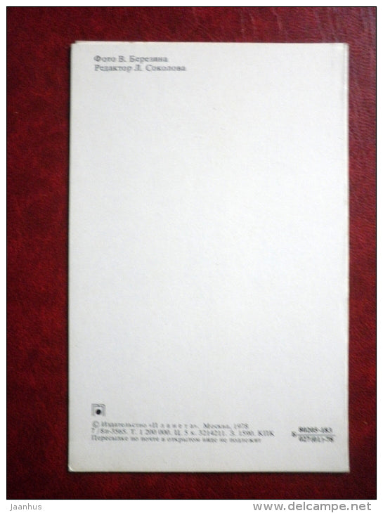 New Year Greeting card - cone - 1978 - Russia USSR - used - JH Postcards