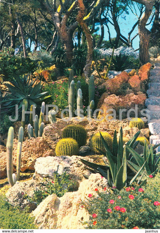 Jardin Exotique a Giens - La Cote d'Azur - garden - 1968 - France - used - JH Postcards