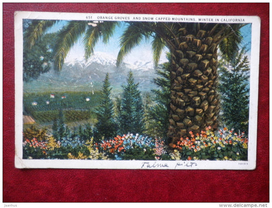 Orange Groves and Snow Capped Mountains. Winter in California , 651 - USA  - used - JH Postcards
