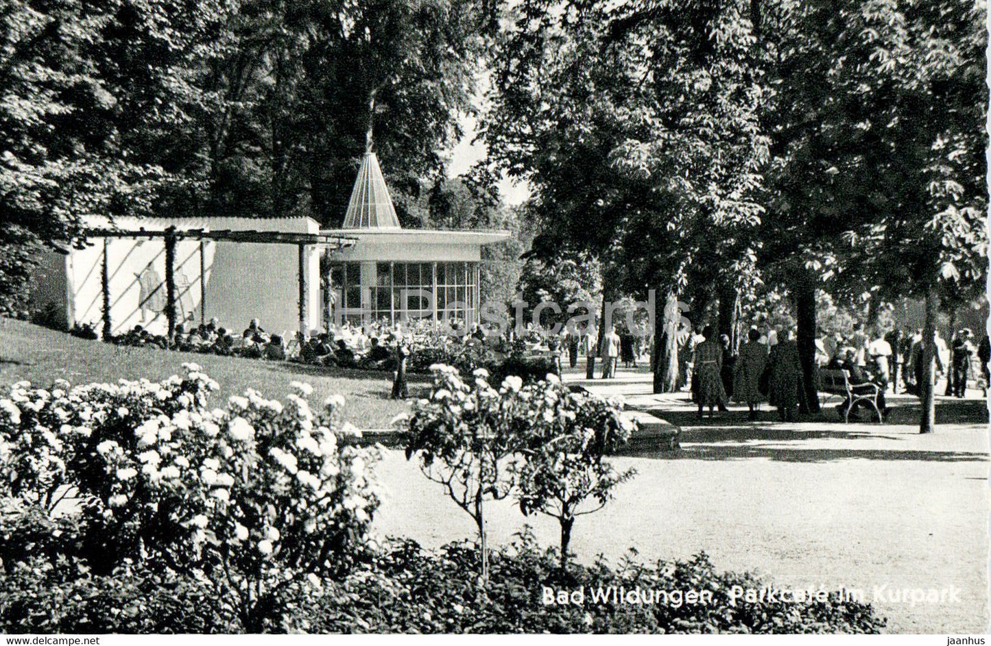 Bad Wildungen - Parkcafe im Kurpark - old postcard - Germany - unused - JH Postcards