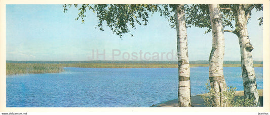 Razliv - Lenin Museum - lake Sestroretsky - 1977 - Russia USSR - unused - JH Postcards