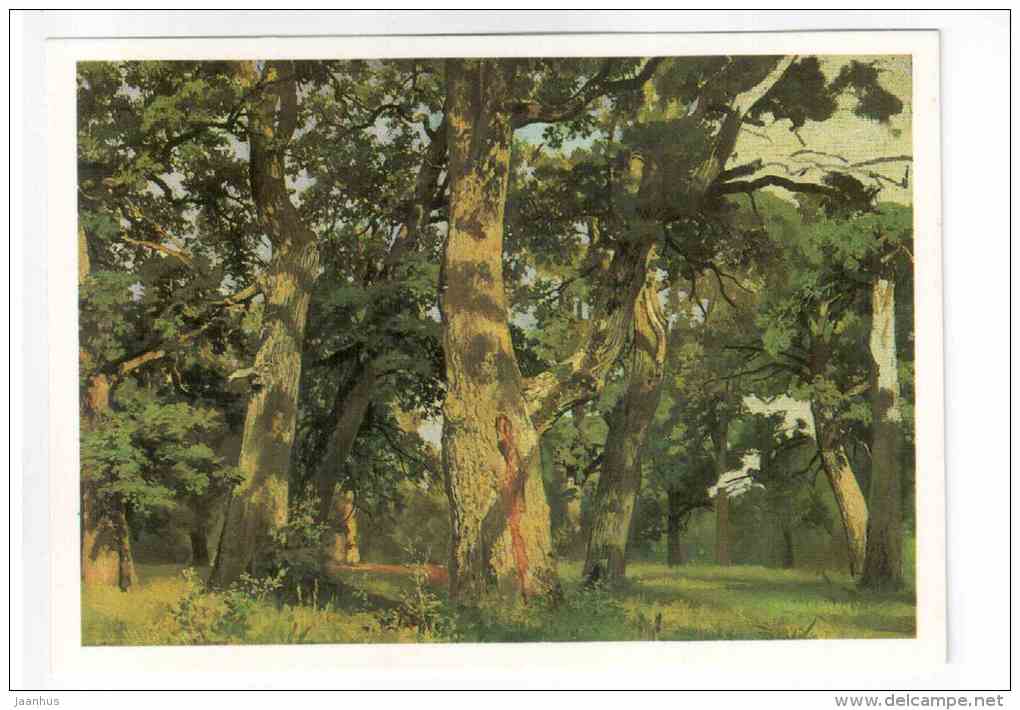painting by I. I. Shishkin - Oaks , Evening , 1887 - russian art - unused - JH Postcards
