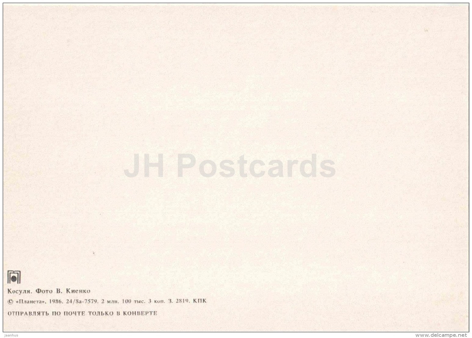 Roe Deer - 1986 - Russia USSR - unused - JH Postcards