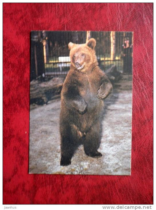 brown Bear - Tallinn Zoo - mini card - 1989 - Estonia - USSR - unused - JH Postcards
