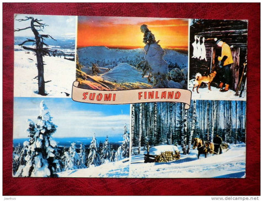 Finland - Multiview postcard - winter views - hunter - dog - horse  - used in 1972-  Finland - used - JH Postcards
