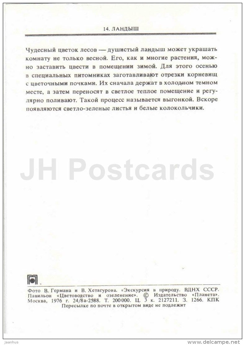 Lily of the valley - Convallaria majalis - flowers - floriculture and gardening pavilion - 1976 - Russia USSR - unused - JH Postcards