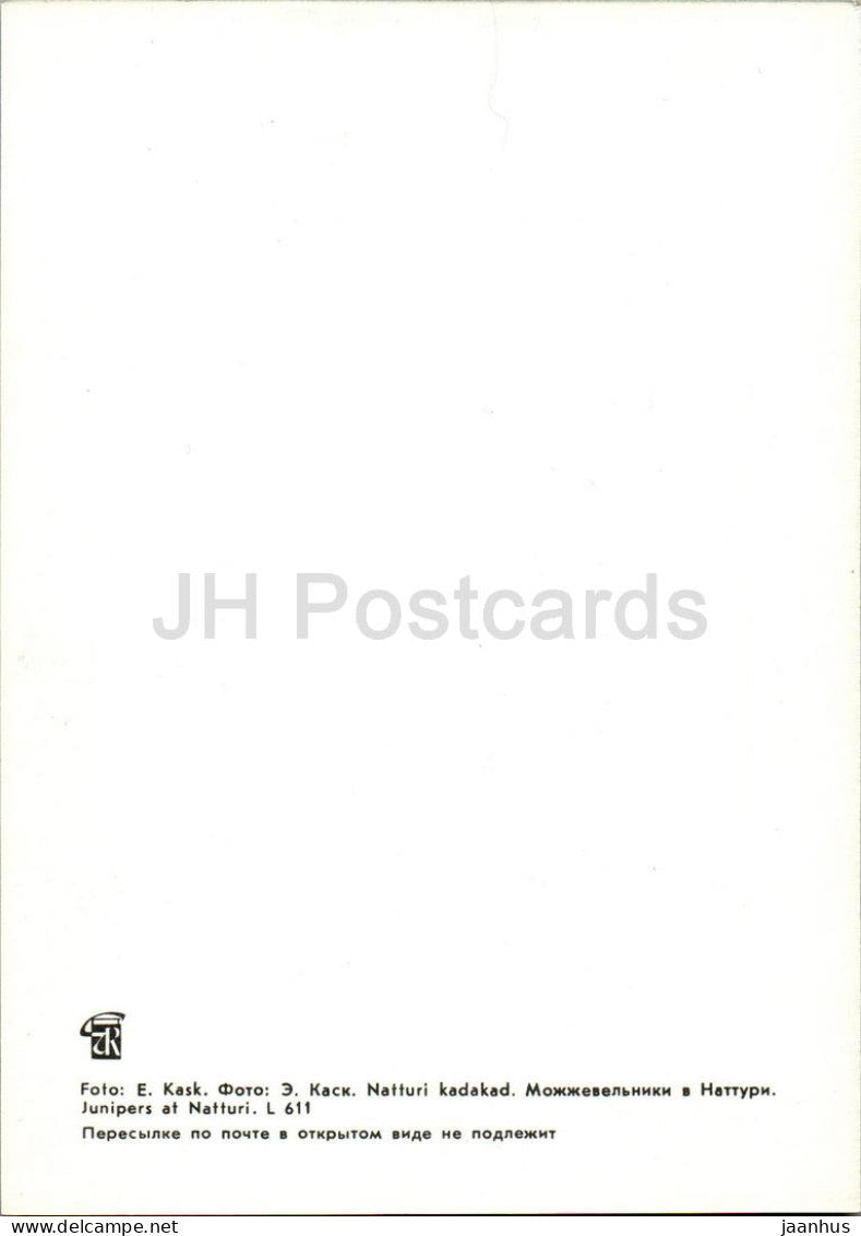 Lahemaa - Genévriers à Natturi - animaux - moutons - 1 - 1978 - Estonie URSS - inutilisé 