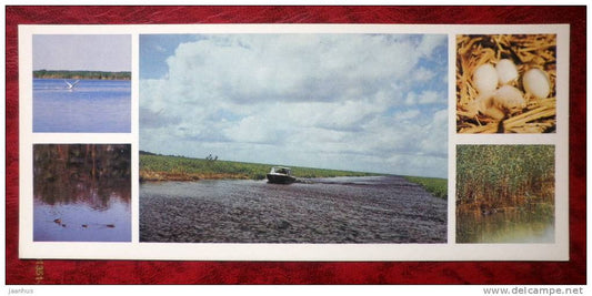 Matsalu National Park - Kasari river delta - boat - birds - 1983 - Estonia - USSR - unused - JH Postcards