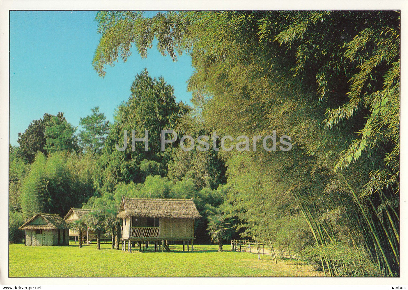Bambouseraie de Prafrance - Le Village Asiatique - bamboos - France - unused - JH Postcards