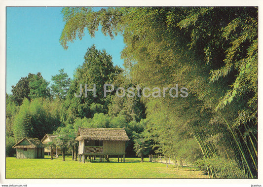 Bambouseraie de Prafrance - Le Village Asiatique - bamboos - France - unused - JH Postcards