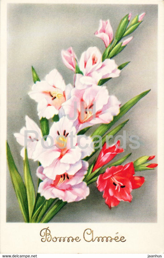 Birthday Greeting Card - Bonne Annee - gladiolus - flowers - 6173 - old postcard - 1952 - France - used - JH Postcards