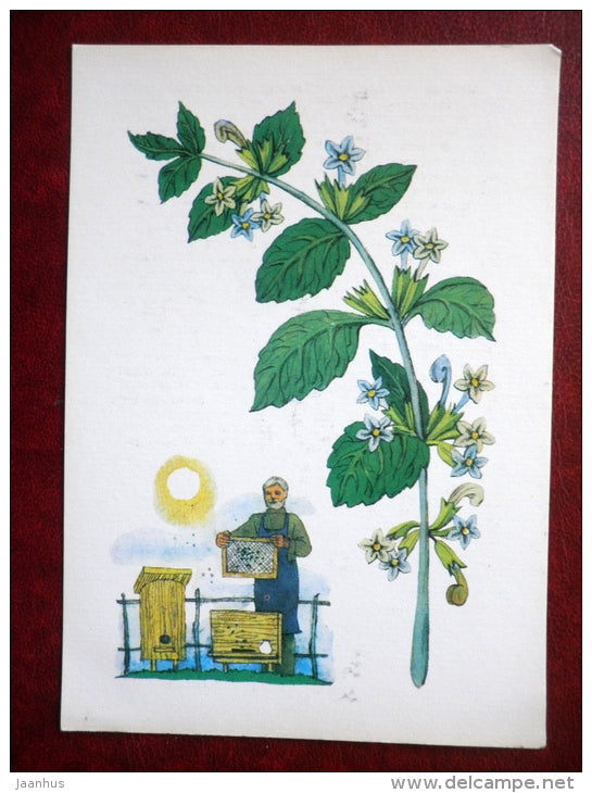 Melissa - by. N. Barbotchenko - plants - 1986 - Russia USSR - unused - JH Postcards
