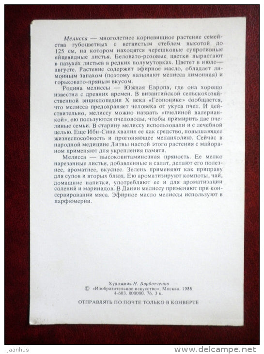 Melissa - by. N. Barbotchenko - plants - 1986 - Russia USSR - unused - JH Postcards