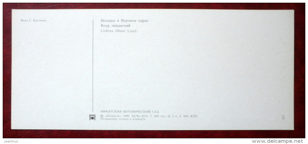 Cedrus libani - Lebanon Cedar - gazebo in the upper park - Nikitsky Botanical Garden - 1982 - Ukraine USSR - unused - JH Postcards