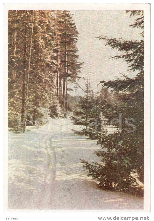 Moscow Region - winter forest - 1963 - Russia USSR - unused - JH Postcards