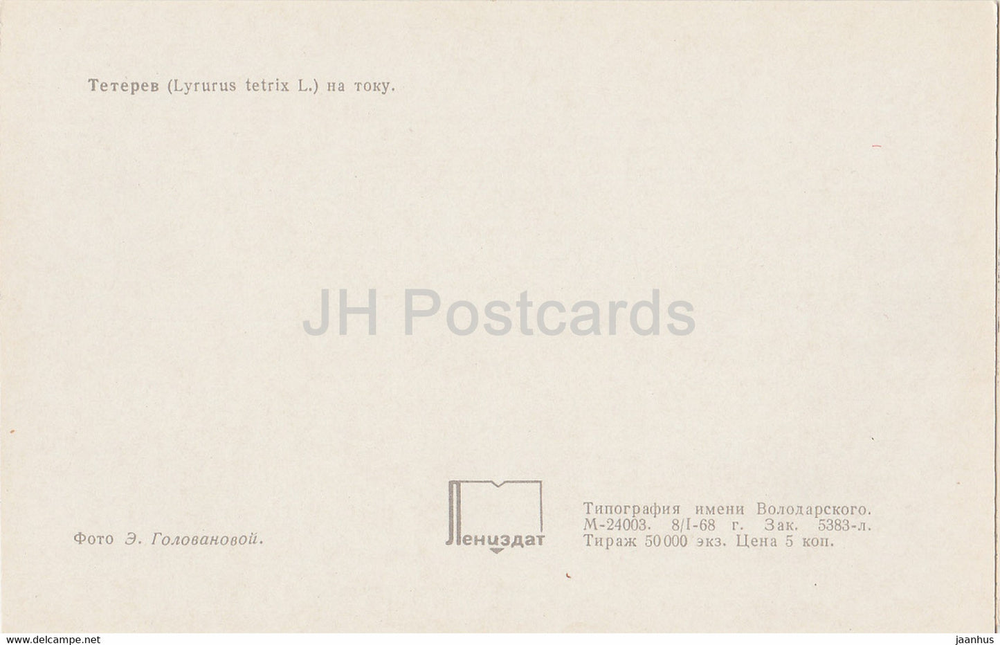 Birkhuhn - Lyrurus tetrix - Vögel - 1968 - Russland UdSSR - unbenutzt